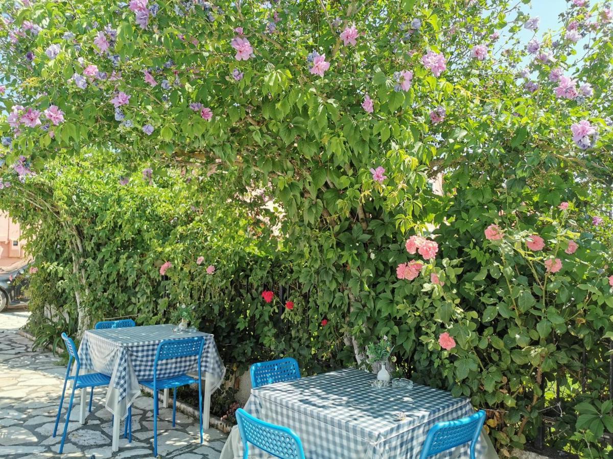 Valia Hotel Acharavi (Corfu)